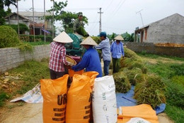 Được mùa, mất giá - Vòng luẩn quẩn ngày càng rõ hơn