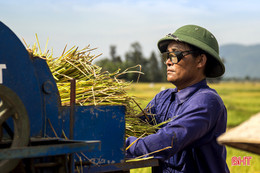 Lao động Hà Tĩnh nhọc nhằn mưu sinh dưới nắng đổ lửa