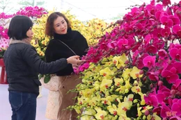 Nhộn nhịp “phố hoa” Hà Tĩnh