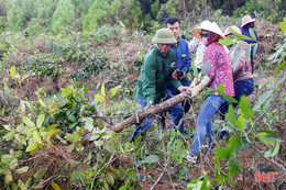 Hà Tĩnh “lên dây cót” phòng chống cháy rừng mùa nắng nóng