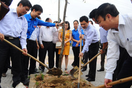 Thành đoàn TP. Hà Tĩnh, ĐTN Sở Y tế phát động trồng cây đầu xuân