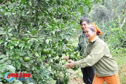 Thanh niên xung phong Hà Tĩnh: Bình dị giữa đời thường