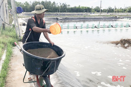 Thời tiết “đỏng đảnh” người nuôi chủ động phòng ngừa bệnh cho tôm