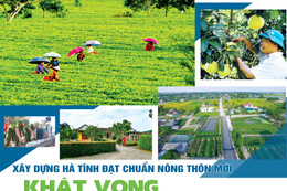 Xây dựng Hà Tĩnh đạt chuẩn nông thôn mới - khát vọng từ lũy tre làng