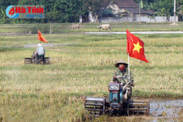 Nghiên cứu các mô hình tích tụ ruộng đất trong nông nghiệp