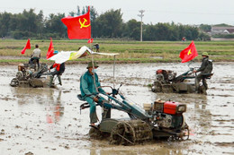 Hà Tĩnh: Thực hiện đồng bộ giải pháp đảm bảo sản xuất vụ xuân thắng lợi