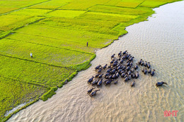 Đường đến vinh quang của các "tay máy" Hà Tĩnh