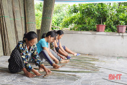 Chi hội, tổ hội nghề nghiệp dẫn dắt nông dân Hà Tĩnh làm giàu