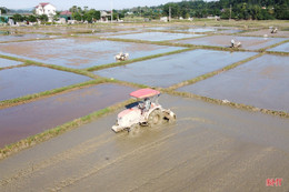 Hà Tĩnh chủ động ứng phó nguy cơ hạn hán, thiếu nước, xâm nhập mặn