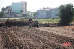 Nông dân Thạch Liên ra đồng làm rau chuẩn bị đón tết