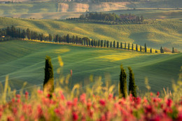 Tuscany trong mắt du khách Việt