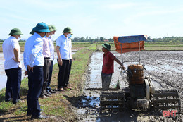 Chủ tịch UBND tỉnh Hà Tĩnh chỉ đạo đảm bảo thời vụ gieo cấy lúa hè thu kết thúc trước 10/6