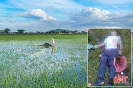 Hà Tĩnh: Người đàn ông tử vong khi đi chăn trâu nghi bị sét đánh