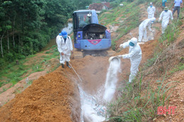 Vũ Quang xuất hiện dịch tả lợn châu Phi, 13 con bị tiêu hủy