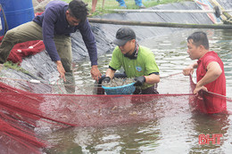 Cẩm Xuyên đạt 12.270 tấn sản lượng thủy hải sản trong năm 2018