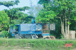 Nhức mắt cảnh chó được “mua đêm, bán ngày” ở Cẩm Xuyên