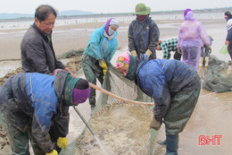 “Vua ngao” Hà Tĩnh kể chuyện thuần phục ngao Bến Tre để làm giàu