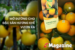 Mở đường cho đặc sản Hương Khê vươn xa (bài 2): Chuẩn hóa sản xuất, nâng tầm thương hiệu