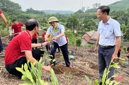 SeABank trao tặng gần 154.000 cây keo giống cho huyện Hương Sơn