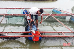 Tất bật sơ tán, bảo vệ cá lồng bè trước bão Sơn Tinh