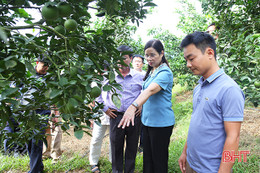 Hà Tĩnh tạo điều kiện kết nối cung cầu, tiêu thụ nông sản Hà Giang