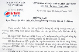 Chính quyền xã cấm người dân khai thác hợp pháp rừng trồng