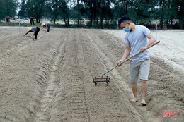 Hà Tĩnh “hồi sinh” sau mưa lũ