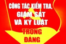 Hà Tĩnh thi hành kỷ luật, khai trừ Đảng đối với các đảng viên vi phạm