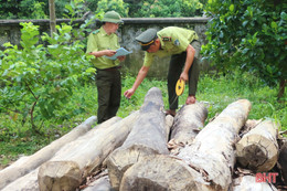 Vũ Quang: Xử lý 7 vụ vi phạm lâm luật, thu nộp ngân sách nhà nước 69 triệu đồng