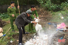 Công an Thạch Hà tiêu hủy 55kg thịt gà không rõ nguồn gốc