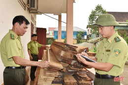 Hà Tĩnh xử lý nghiêm các vụ lấn chiếm đất lâm nghiệp, chặt phá rừng