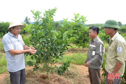 Bỏ kinh doanh "trong bóng tối", Tân Phong xây dựng khu dân cư kiểu mẫu