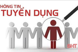 Tòa án nhân dân thị xã Kỳ Anh tuyển 01 nhân sự