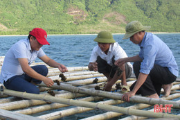 Nuôi hàu có thể làm giàu ở thị xã Kỳ Anh