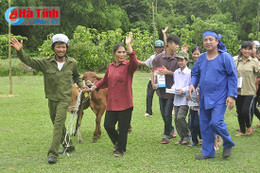 "Táo Giao thông" Chí Trung trao bò "Lục lạc vàng" cho hộ nghèo Hà Tĩnh