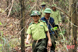 Người kiểm lâm 21 năm “gác” rừng phòng hộ Nam Hà Tĩnh: Màu xanh của núi đã ăn vào máu thịt tôi!