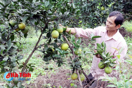 CSA mở ra cơ hội làm giàu cho nhiều hộ dân nông thôn