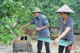 Rời tay súng, cầm cuốc, cầm cày “chiến đấu” với đói nghèo ở huyện miền núi Hà Tĩnh