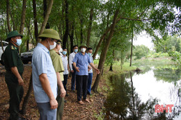 Yêu cầu các địa phương ở Hà Tĩnh ngăn chặn triệt để tình trạng đánh bắt, mua bán chim tự nhiên