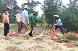 Lộc Hà ra quân tiêu diệt chuột