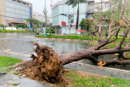 Hai người chết, 5 người bị thương ở Quảng Ngãi do bão số 9