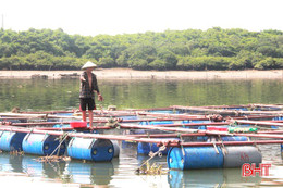 Thu hàng tỷ đồng mỗi năm từ khúc sông chừng 500m