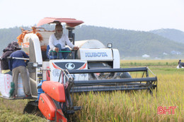 Chủ tịch UBND tỉnh Hà Tĩnh chỉ đạo điều phối hợp lý máy gặt đập để thu hoạch lúa hè thu nhanh nhất