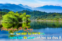 Khẩn cấp bảo tồn loài voi Châu Á ở Vườn Quốc gia Vũ Quang