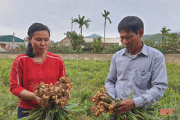 Nhiều sản phẩm đắt hàng, nông dân Kỳ Đồng yên tâm sắm tết