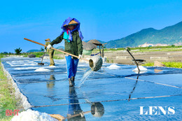 Nắng như “rót lửa”, diêm dân Hà Tĩnh cần mẫn bên những ruộng muối