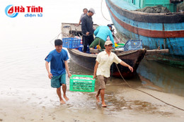 Biển an toàn, cá lại đầy khoang...