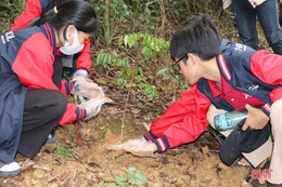 Học sinh Trường Ischool Hà Tĩnh trồng cây chống biến đổi khí hậu