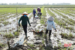 Hà Tĩnh phát động toàn dân ra quân làm thủy lợi phục vụ sản xuất và dân sinh