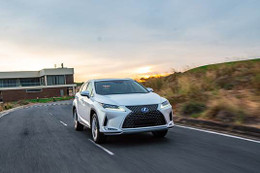 Lexus RX 2020 - SUV hạng sang cho doanh nhân ưa trải nghiệm